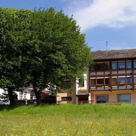 Gasthof Lowen Hotel