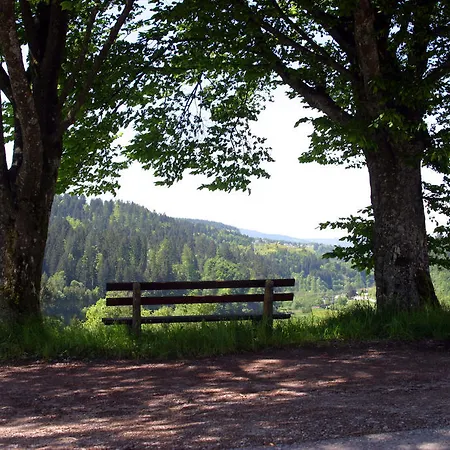 Hotel Gasthof Lowen *