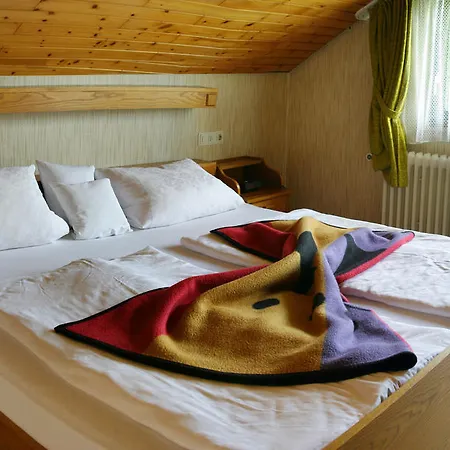 Hotel Gasthof Lowen *